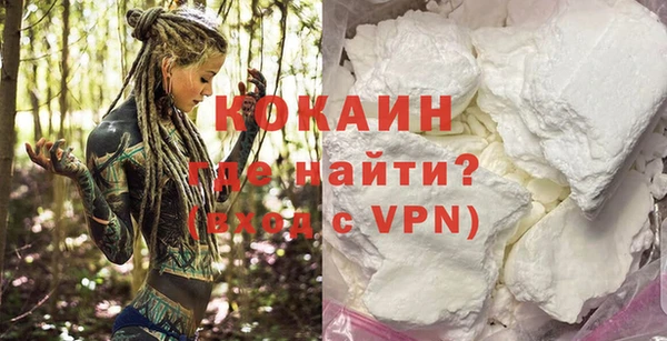 твердый Алзамай