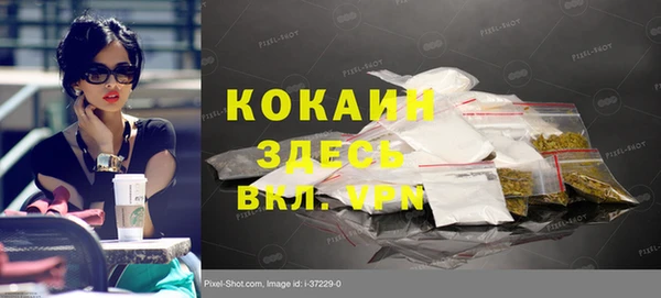 твердый Алзамай