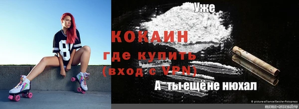 твердый Алзамай
