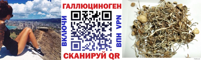 Галлюциногенные грибы мицелий  hydra tor  Котельники 