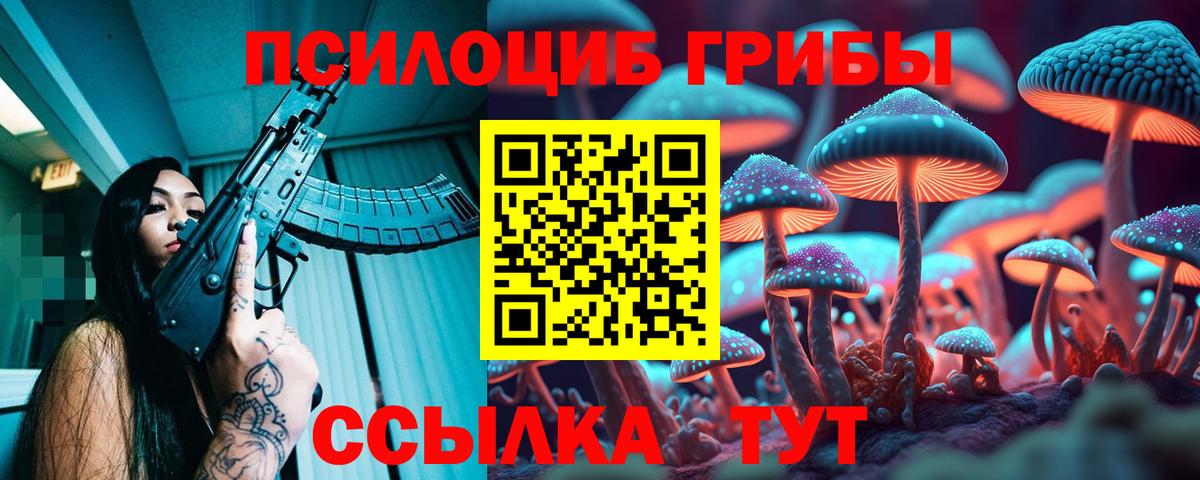 Котельники  купить наркоту  Вход с VPN  Псилоцибиновые грибы MAGIC MUSHROOMS 
