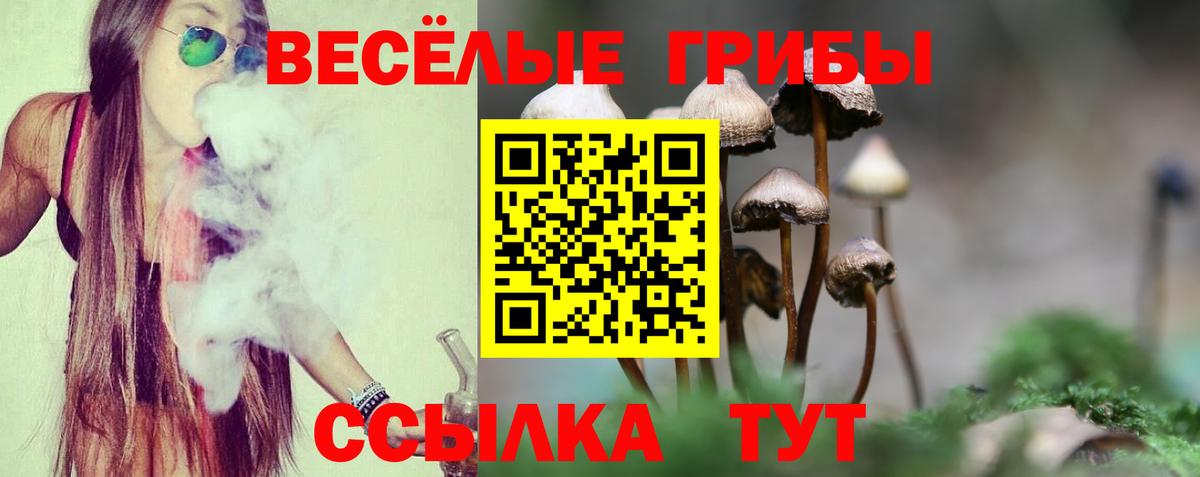 Галлюциногенные грибы MAGIC MUSHROOMS Котельники